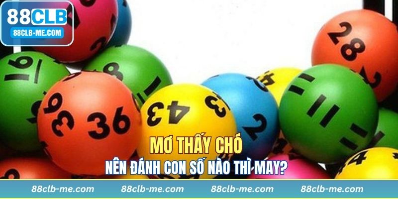 Các tình huống thấy cún đều có điềm báo tốt hoặc xấu