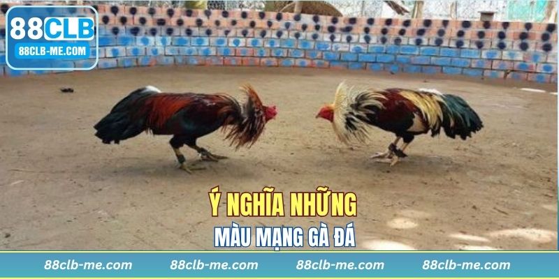 Chi tiết về các màu mạng gà đá