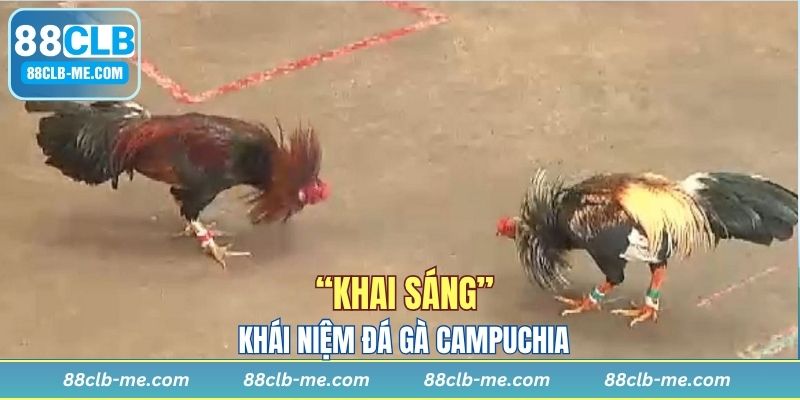 Đá gà Campuchia có tính chuyên nghiệp cao