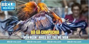 Đá Gà Campuchia - “Món Ngon” Nhiều Bet Thủ Mê Mẩn
