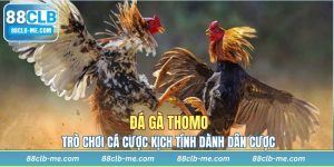 Đá Gà Thomo - Trò Chơi Cá Cược Kịch Tính Dành Cho Dân Cược