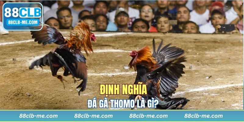 Đôi chút về thể loại cá cược này