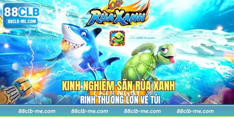 Mẹo săn rùa xanh cực chuẩn từ cao thủ