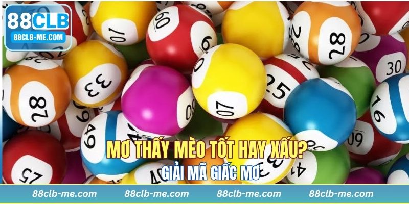 Mơ thấy mèo báo hiệu tốt hay xấu