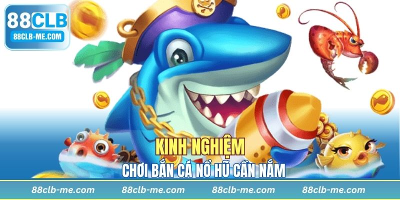 Quản lý đạn dược chặt chẽ khi săn bắn