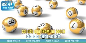 Soi Cầu Quả Trám Tại 88CLB - Cách Chơi Chuẩn Xác Nhất