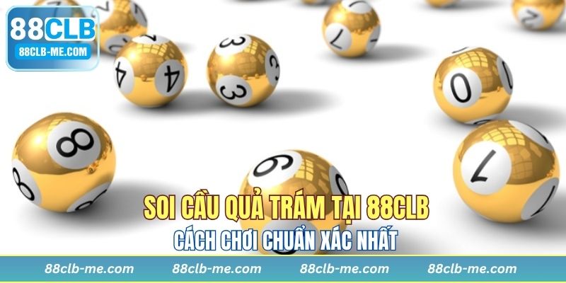 Soi Cầu Quả Trám Tại 88CLB - Cách Chơi Chuẩn Xác Nhất